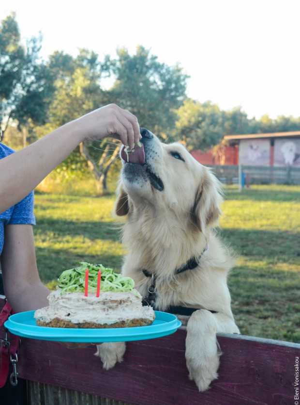 Apple And Peanut Butter Dog Cake No Vegetables Apple And Peanut Butter Dog Cake No Vegetables
