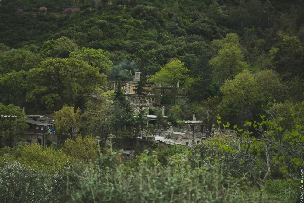 Milia Workshop 2017 – A long overdue recap. Part 1. www.thefoodiecorner.gr - Photo description: The stone buildings of Milia nestled among dense trees and bushes on a mountainside. View from the opposite mountainside.