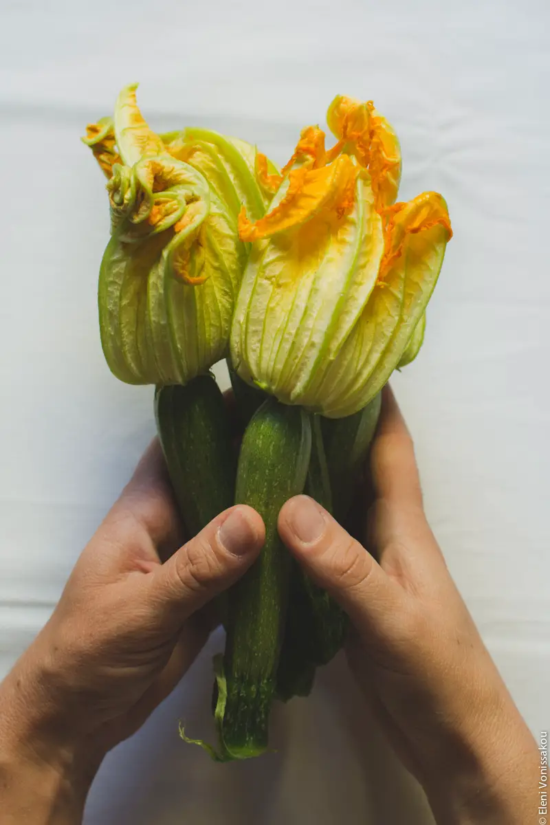Whole Wheat Courgette Pasta with Courgette Flowers www.thefoodiecorner.gr Photo description: Hands holding a bunch of 3 courgettes with large flowers still attached, against a white background.