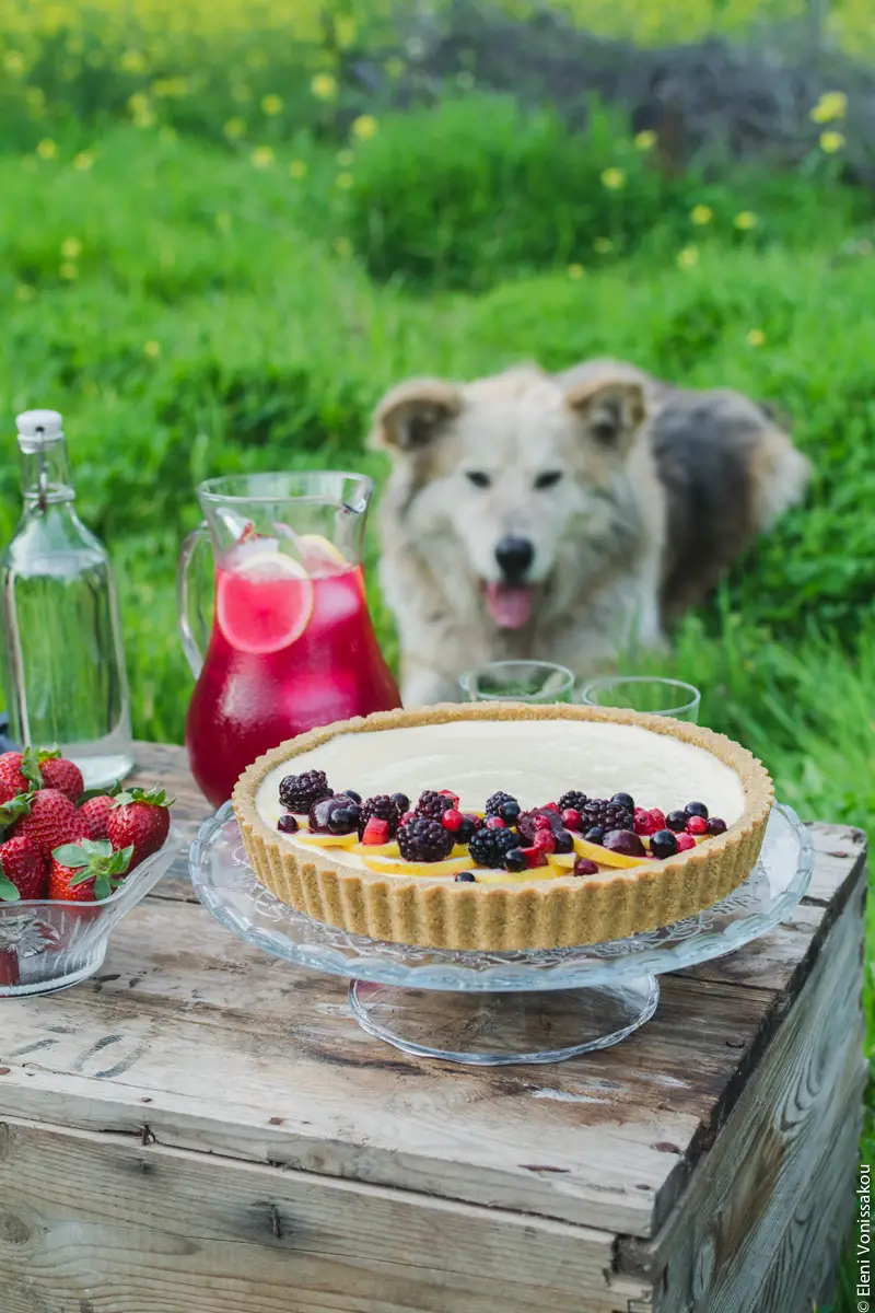 Lemon Curd and Mascarpone Cheesecake with Berries www.thefoodiecorner.gr Photo description: A Â¾ view of the cheesecake on the box. In the background on the grass lies a large fluffy dog (named Ouzo), who looks a little like a husky, German shepherd or Akita cross. His ears are forward and slightly floppy and his tongue is protruding as he looks at the food. 