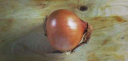 Onion