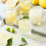 3 + 1 Ways for Homemade Lemonade (including one in the Slow Cooker!) www.thefoodiecorner.gr