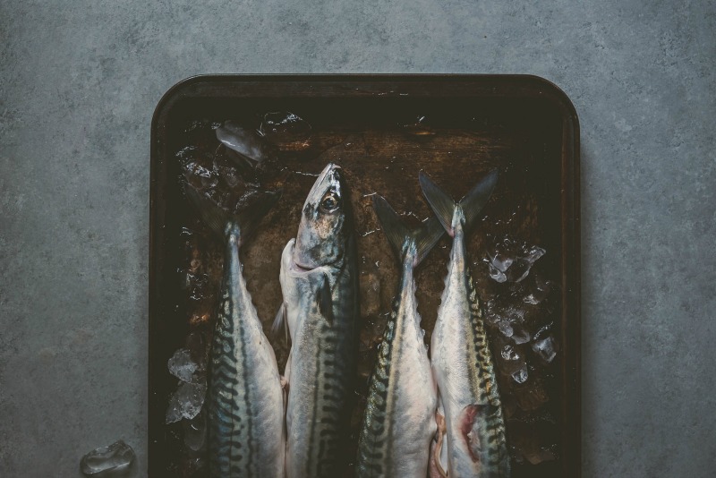 Food Styling and Photography Retreat – Crete, Greece 2017 www.thefoodiecorner.gr Photo description: Photo description: A dark and moody photo with a half view of some fish lying on a tray, ice cubes around them.