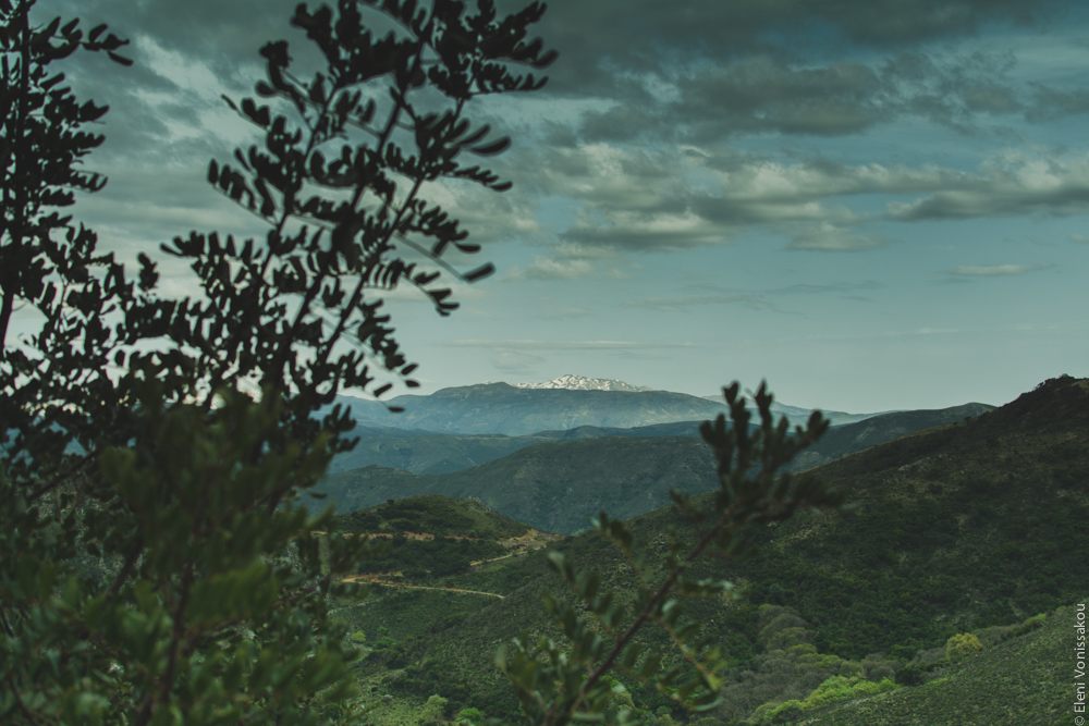 Milia Workshop 2017 – A long overdue recap. Part 1. www.thefoodiecorner.gr - Photo description: A view across green mountainous terrain, partly obstructed by a branch, with white capped mountains in the far distance. There are dark clouds in the sky.