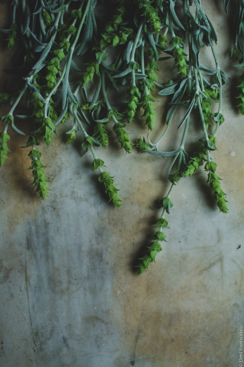 Milia Workshop 2017 – A long overdue recap. Part 1. www.thefoodiecorner.gr - Photo description: Herbs lying upside down, vertically, on an old marble surface with interesting coloured stains.