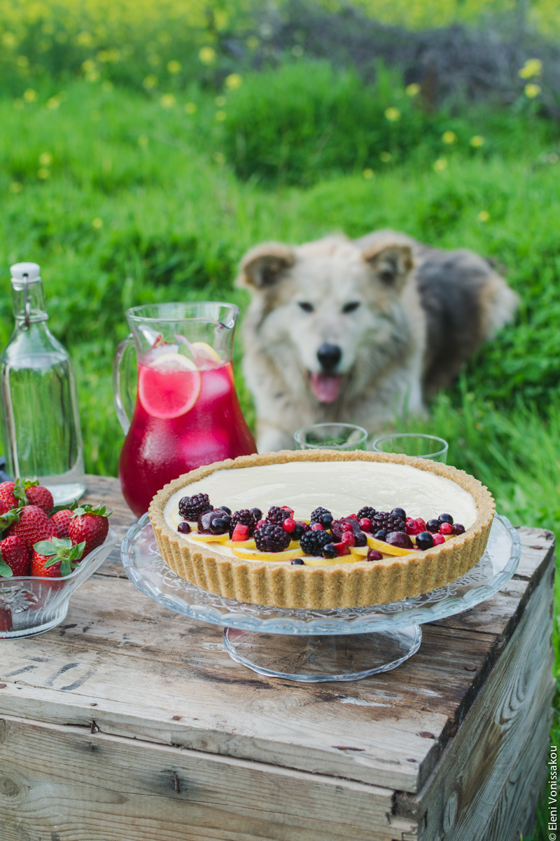 Lemon Curd and Mascarpone Cheesecake with Berries www.thefoodiecorner.gr Photo description: A ¾ view of the cheesecake on the box. In the background on the grass lies a large fluffy dog (named Ouzo), who looks a little like a husky, German shepherd or Akita cross. His ears are forward and slightly floppy and his tongue is protruding as he looks at the food. 