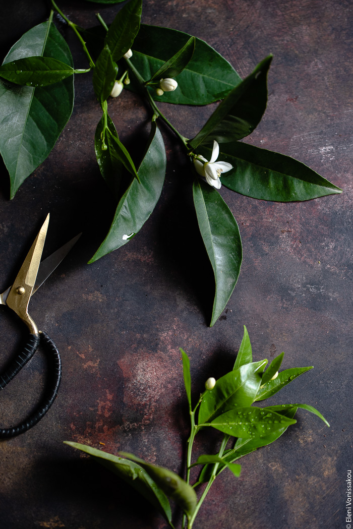 Chocolate Orange Curd – The Easy Way www.thefoodiecorner.gr Photo description: Some orange leaves on their stems, with some blossoms still attached, lying on a dark background. A pair of scissors half visible to the left of the image.