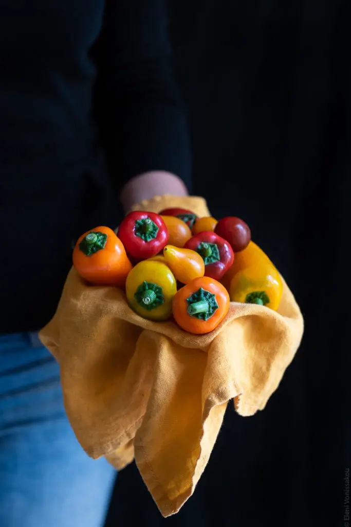 Πράσινη Σαλάτα με Ντοματίνια, Πιπεράκια, Σάλτσα Ταχίνι και Μείγμα Ξηρών Καρπών Ντούκα (Dukkah) www.thefoodiecorner.gr Photo description: A hand holding some mini sweet peppers in a linen napkin.